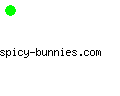 spicy-bunnies.com