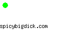 spicybigdick.com
