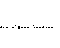 suckingcockpics.com