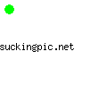 suckingpic.net