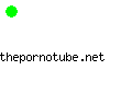 thepornotube.net
