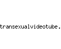 transexualvideotube.com