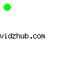 vidzhub.com