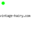 vintage-hairy.com