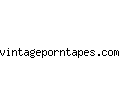 vintageporntapes.com