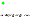 wildgangbangs.com