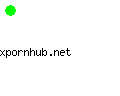 xpornhub.net